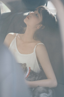 与凤行在线观看